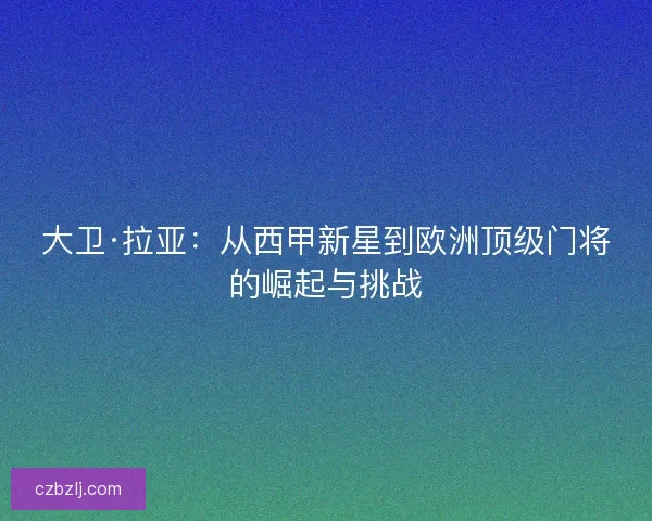 大卫·拉亚：从西甲新星到欧洲顶级门将的崛起与挑战